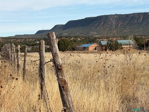 Homes For Sale - 7 County Road B40a Road<br/> Ribera, NM 87701