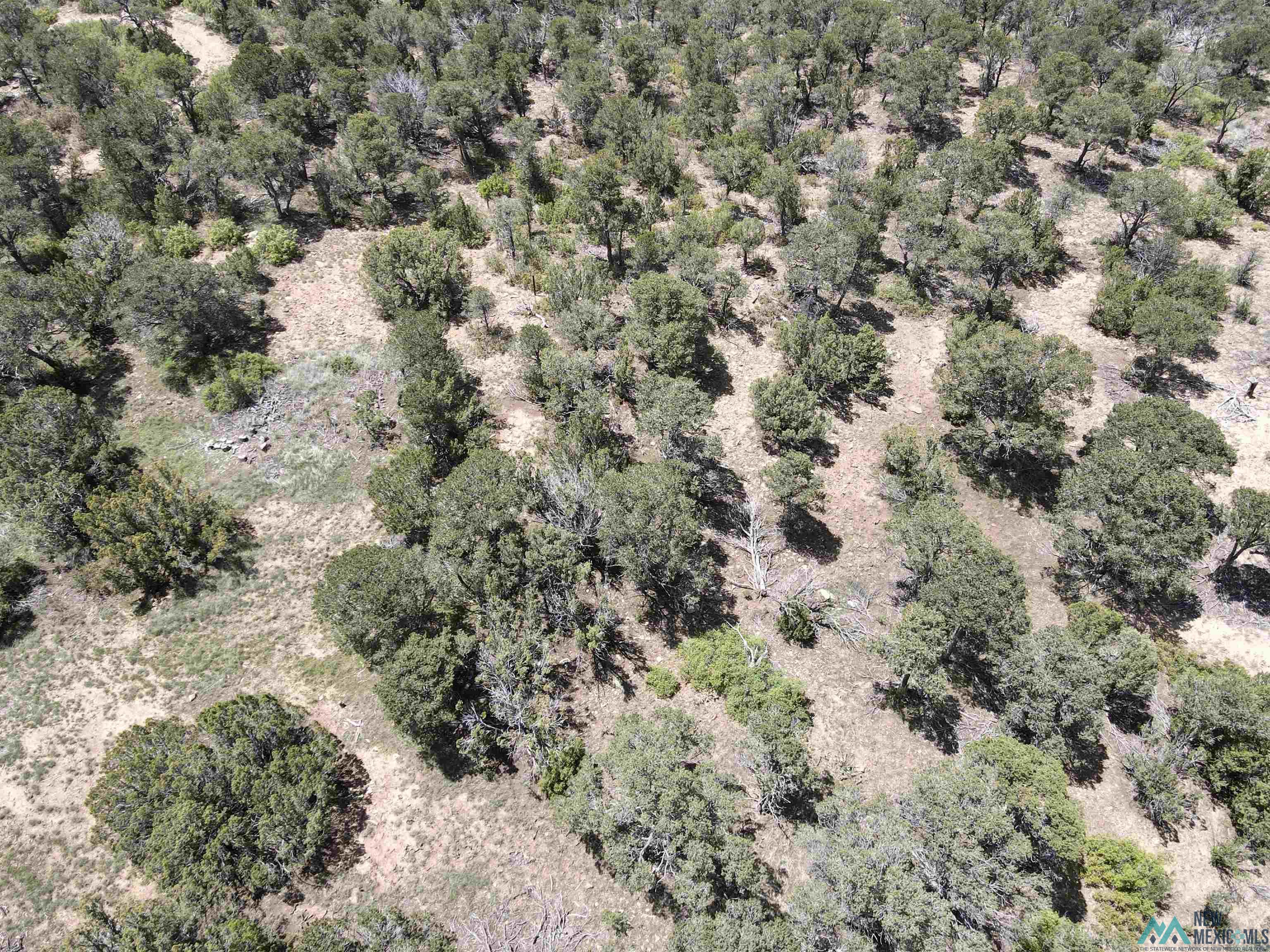 20 E Caviness #1 Drive, Raton, New Mexico image 41