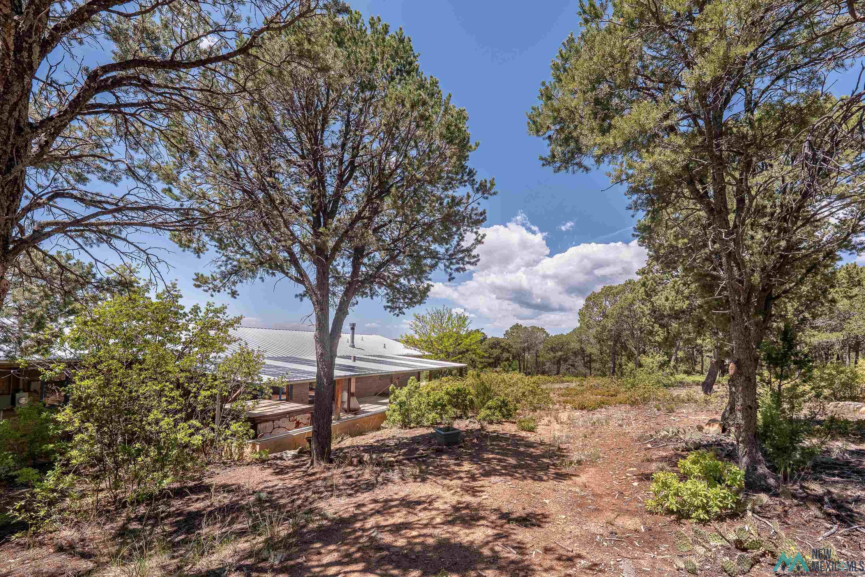 20 E Caviness #1 Drive, Raton, New Mexico image 34