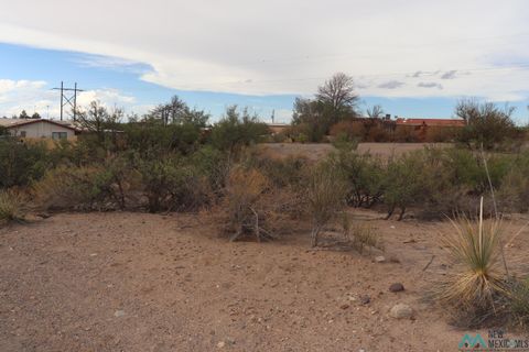 Vacant Land For Sale - 207 Black Range Street<br/> Elephant Butte, NM 87935
