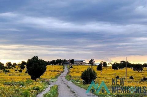 Homes For Sale - 32 W Hickey Road<br/> Catron County, Pie Town, NM 87827
