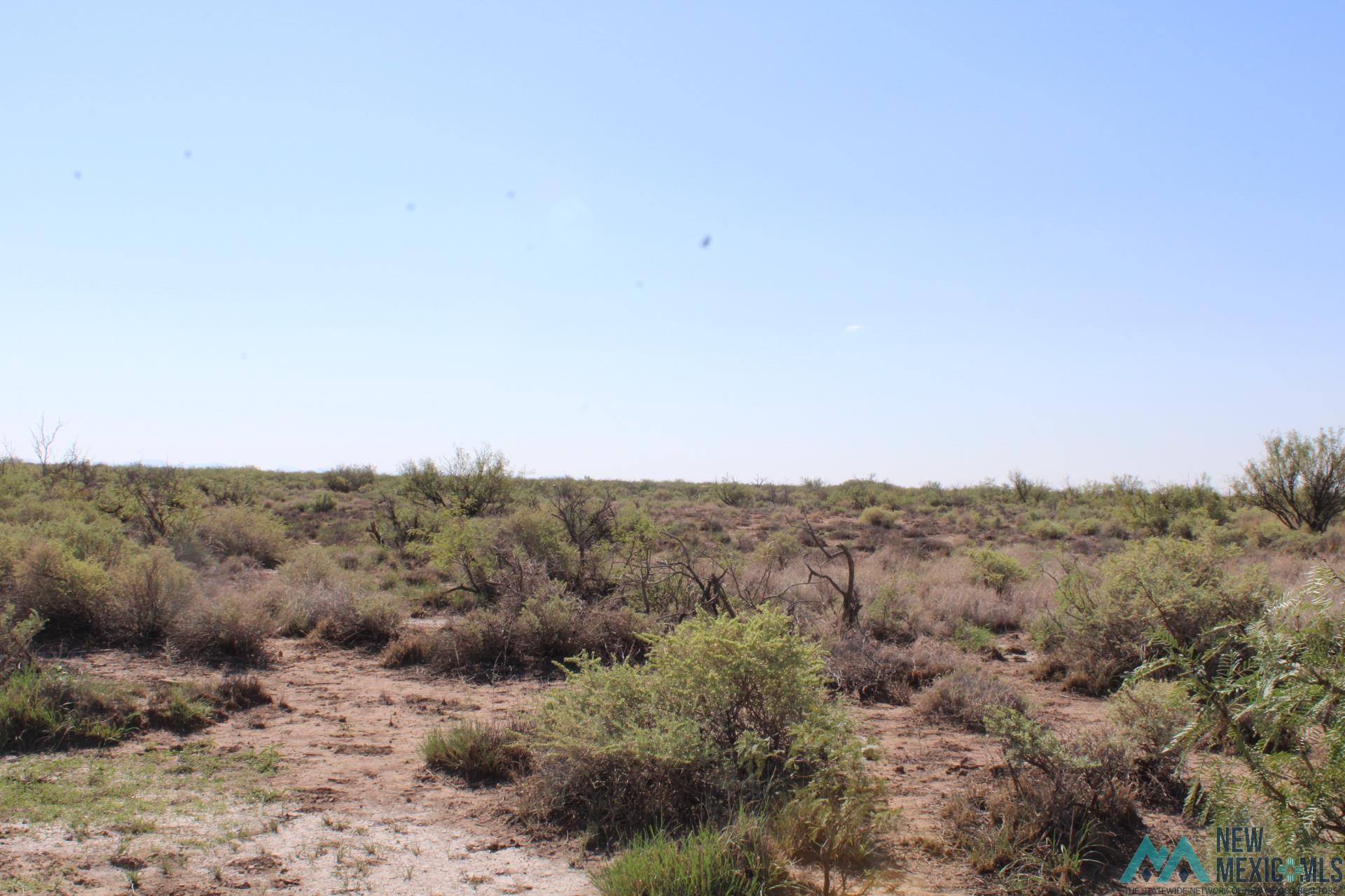 Palo Rd, Deming, Texas image 6