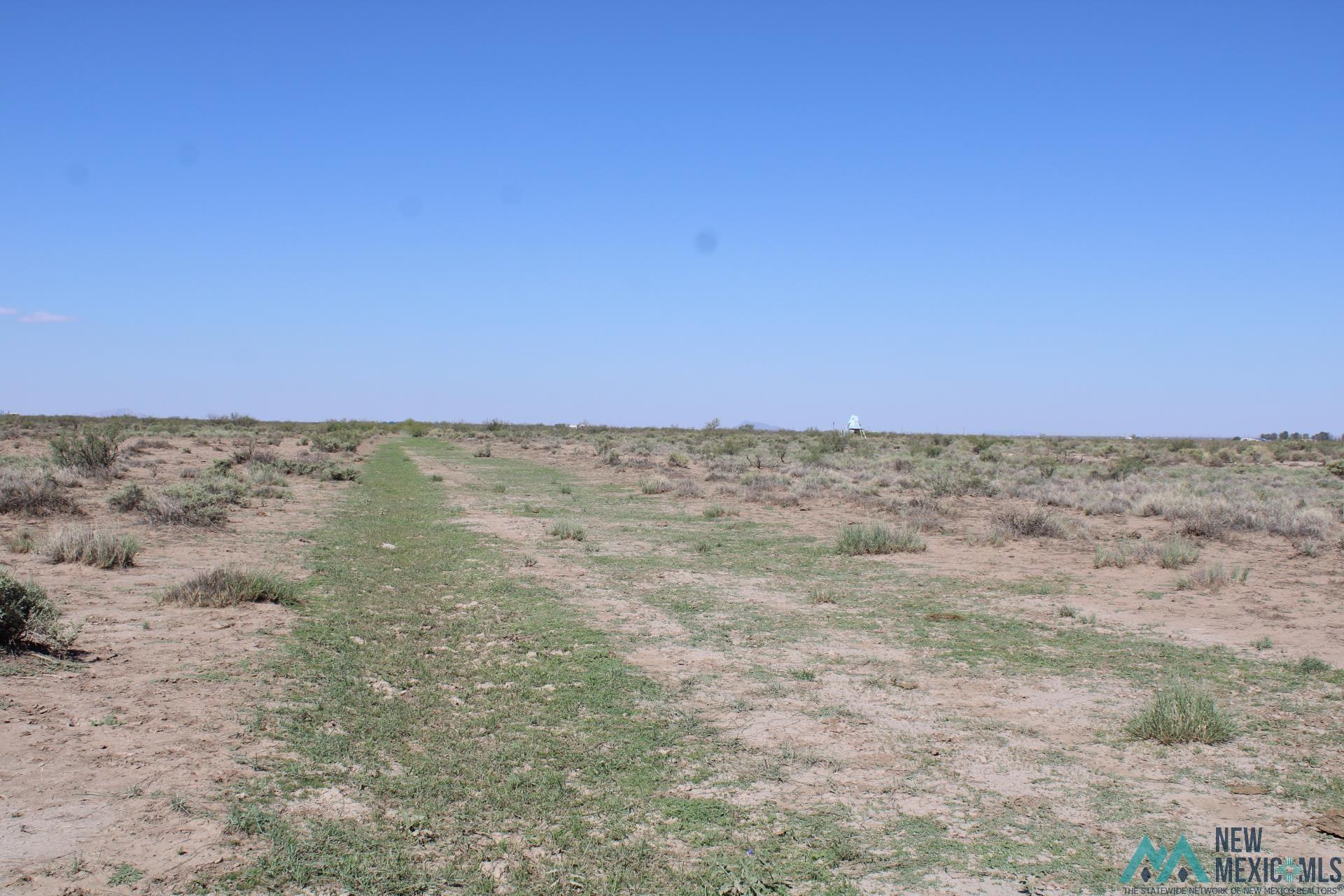 Palo Rd, Deming, Texas image 10