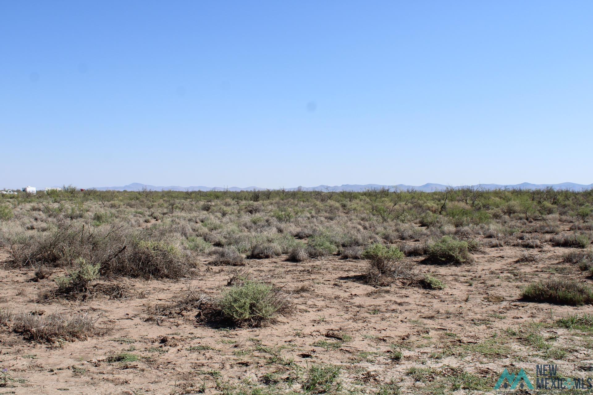 Palo Rd, Deming, Texas image 3