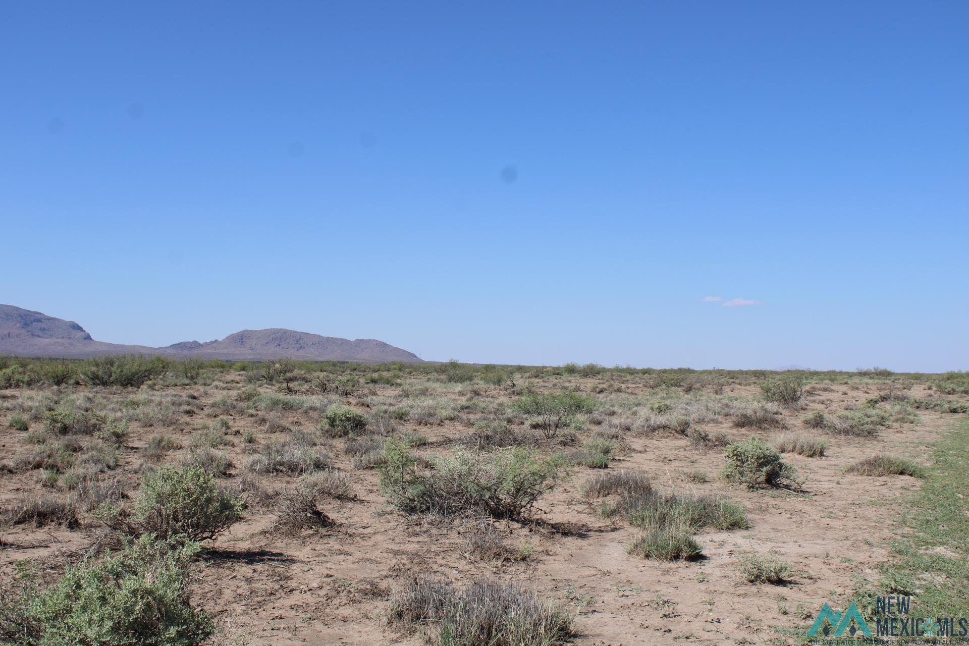 Palo Rd, Deming, Texas image 9