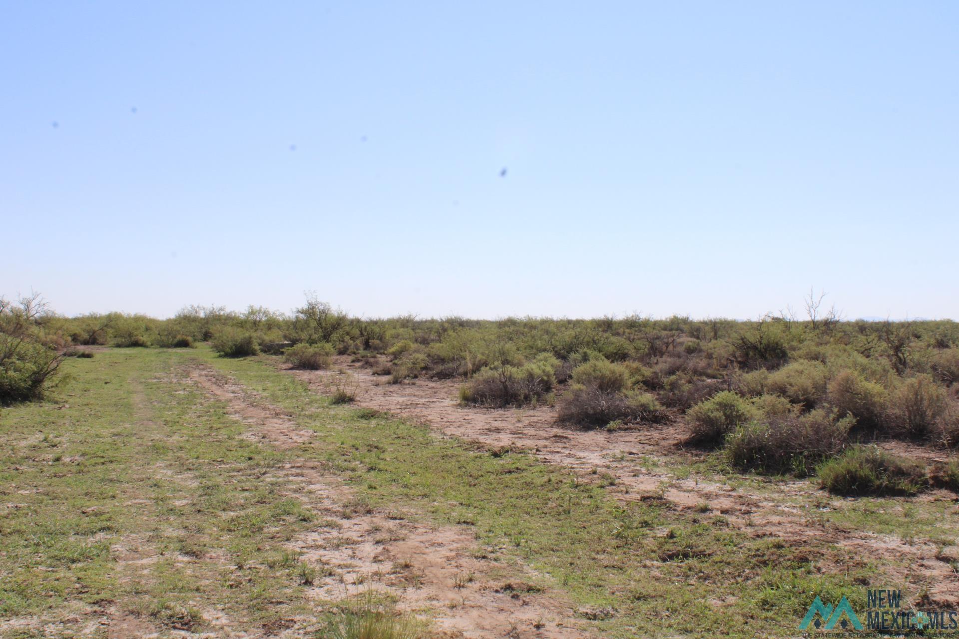 Palo Rd, Deming, Texas image 5