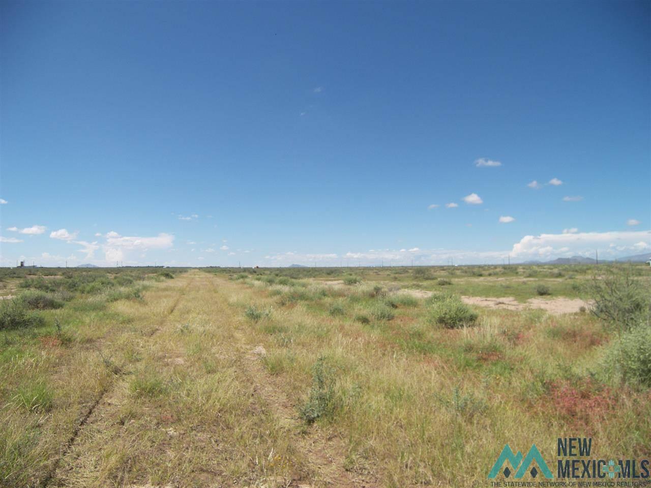 - Poco Loco Rd Ne, Deming, New Mexico image 8