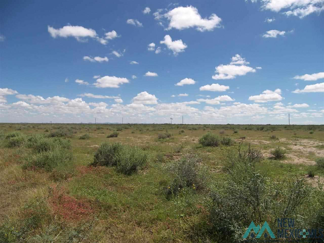 - Poco Loco Rd Ne, Deming, New Mexico image 4