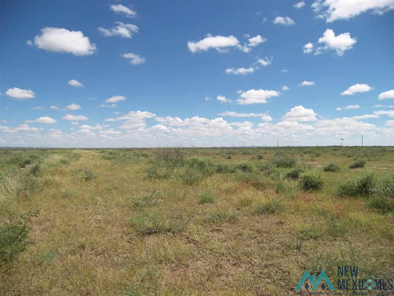 - Poco Loco Rd Ne, Deming, New Mexico image 3