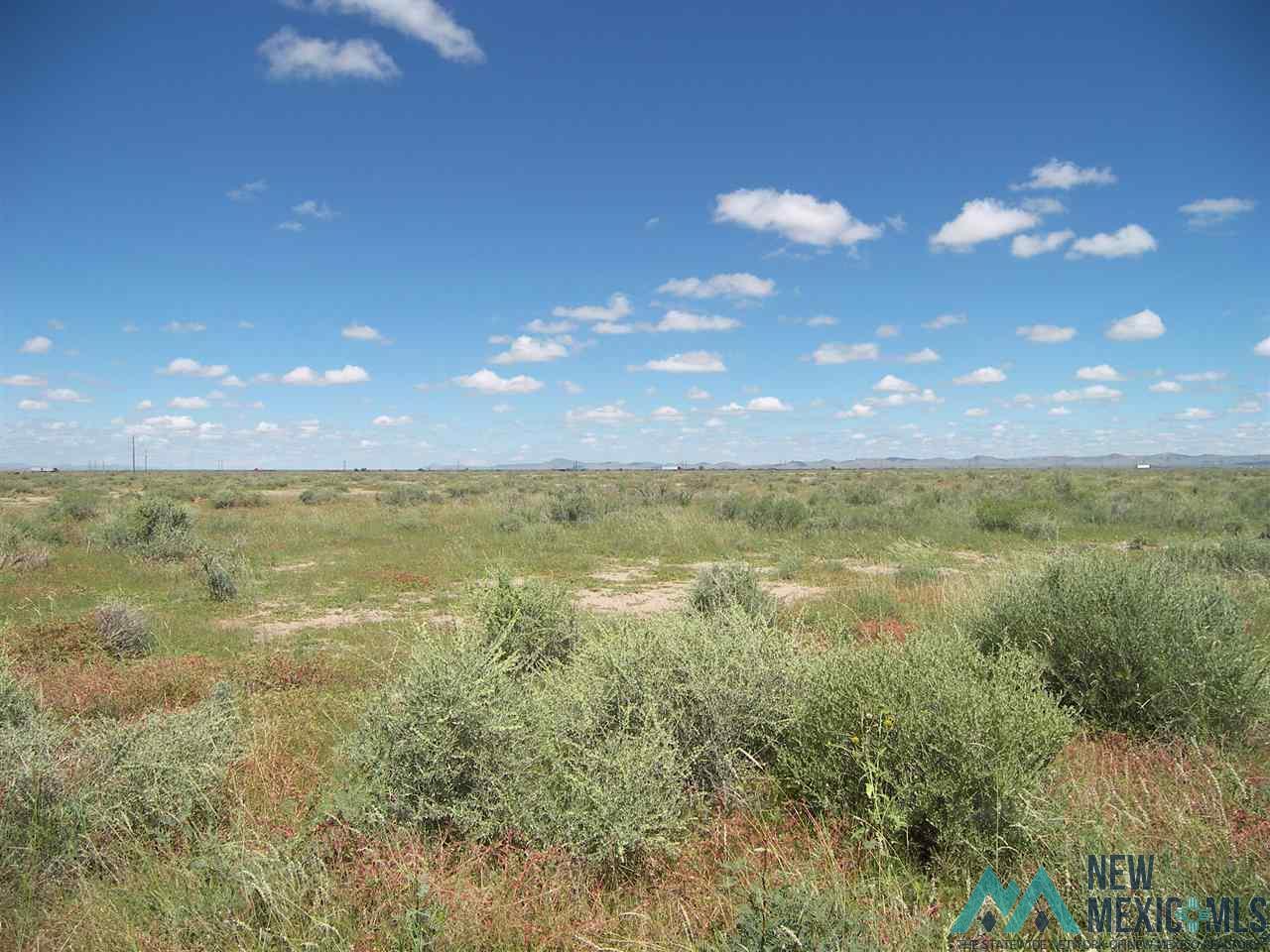 - Poco Loco Rd Ne, Deming, New Mexico image 1