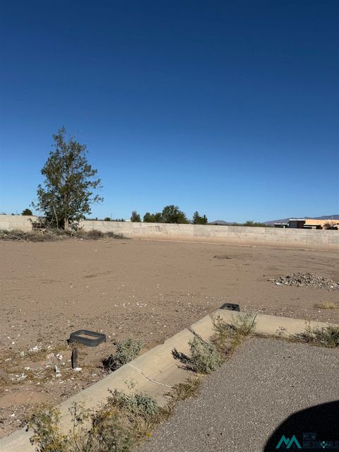 Vacant Land For Sale - XX E Gila Road<br/> Luna County, Deming, NM 88030