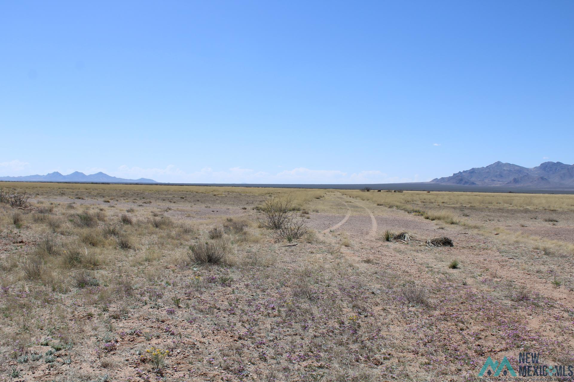 Sunshine Valley Ranchettes, Deming, New Mexico image 9