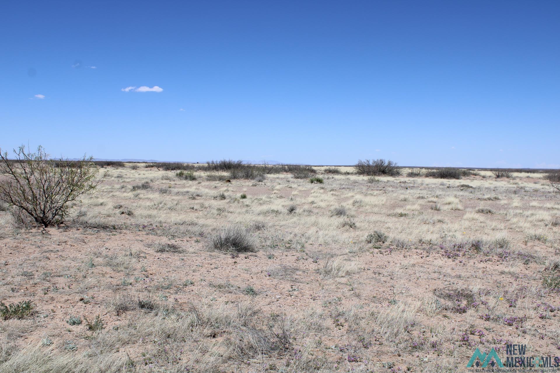 Sunshine Valley Ranchettes, Deming, New Mexico image 1