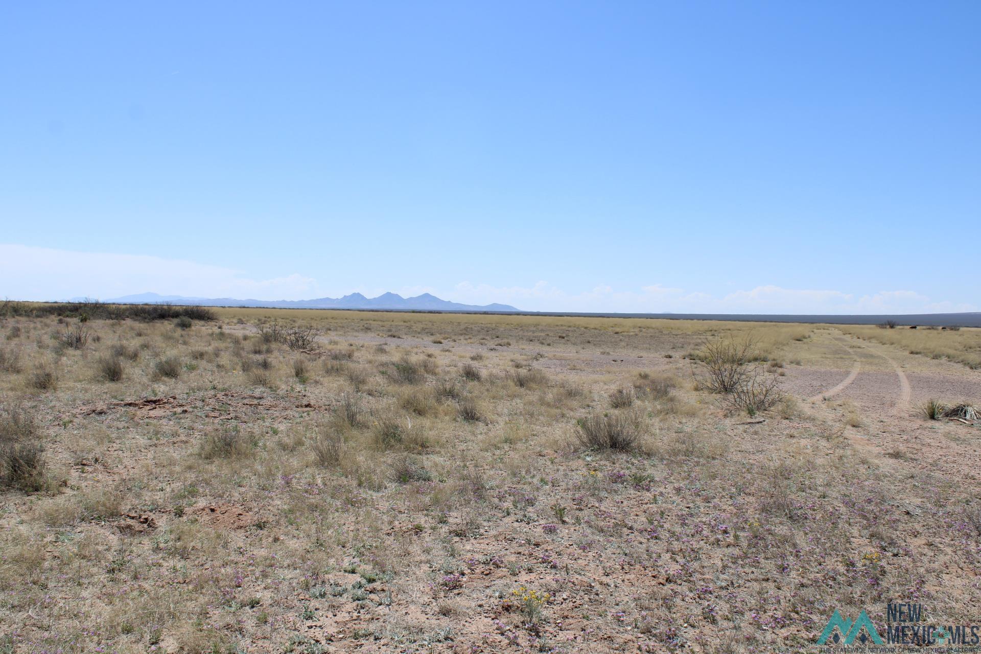 Sunshine Valley Ranchettes, Deming, New Mexico image 8