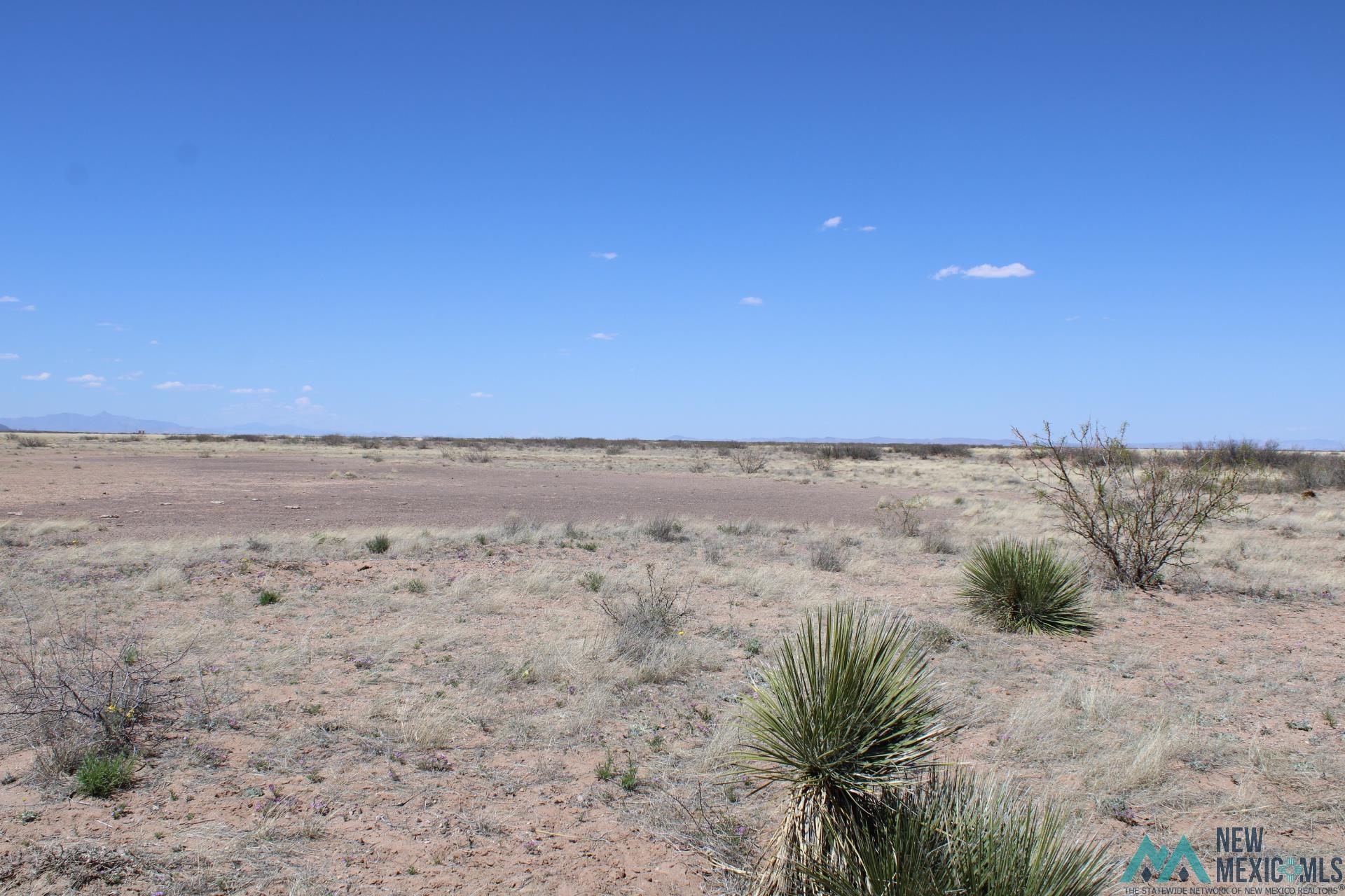 Sunshine Valley Ranchettes, Deming, New Mexico image 11