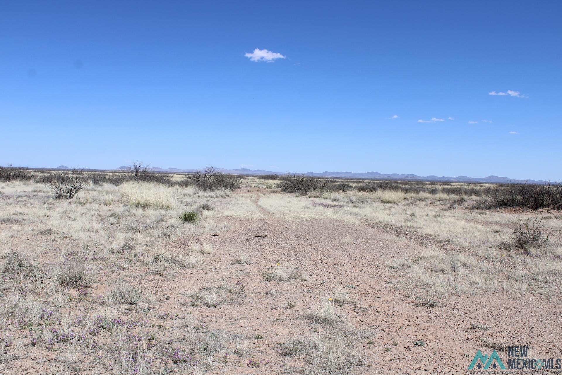 Sunshine Valley Ranchettes, Deming, New Mexico image 3