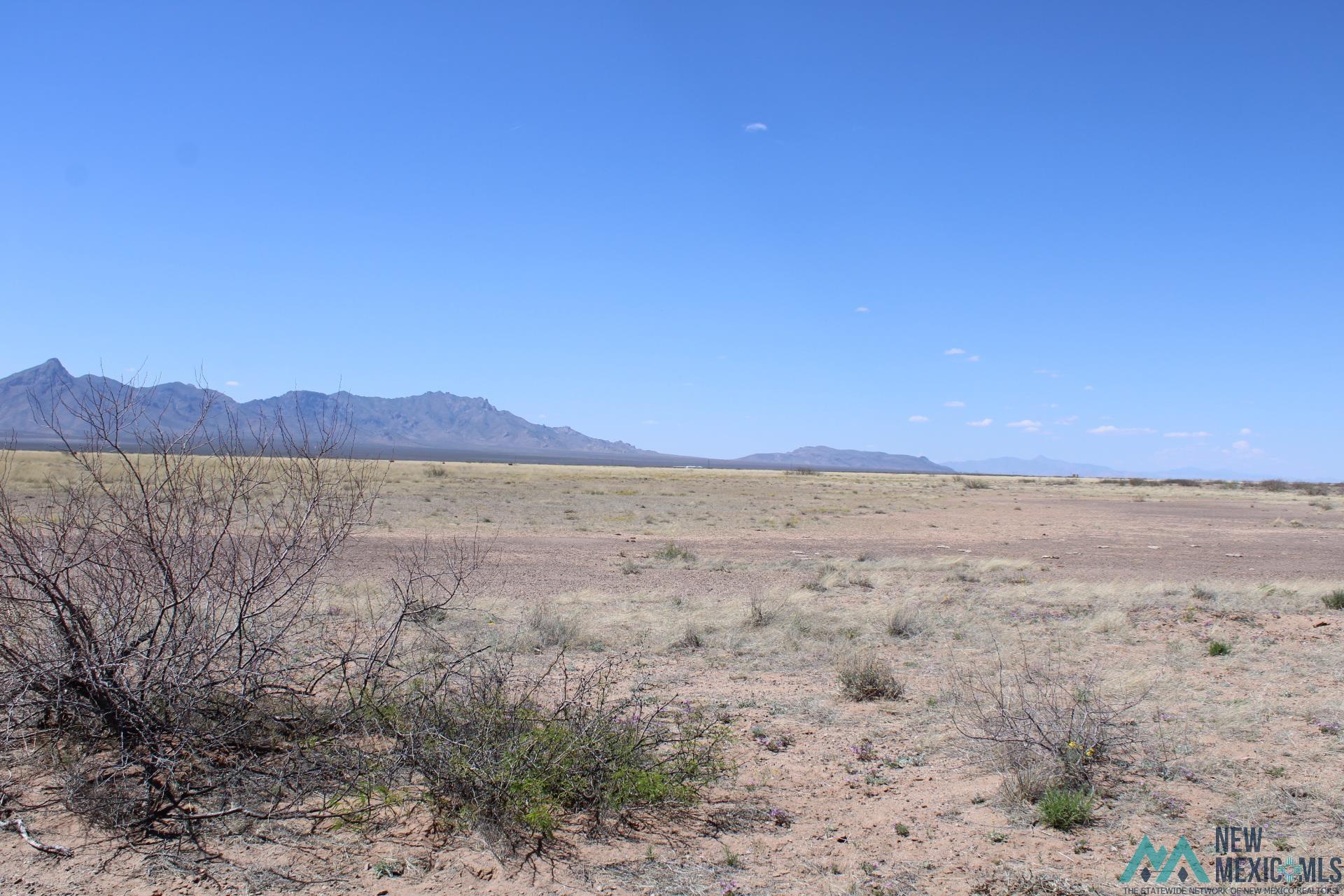 Sunshine Valley Ranchettes, Deming, New Mexico image 10