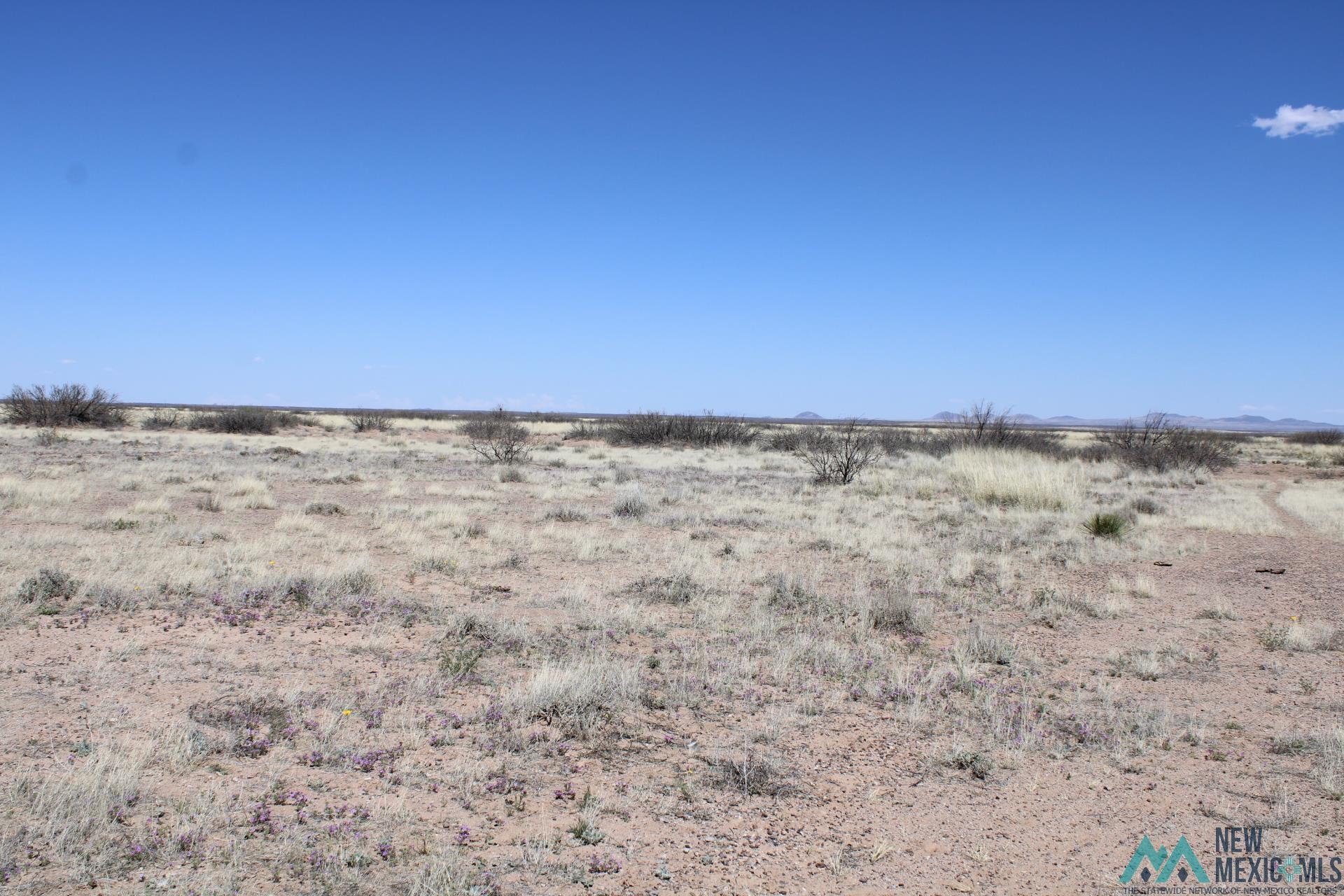 Sunshine Valley Ranchettes, Deming, New Mexico image 2