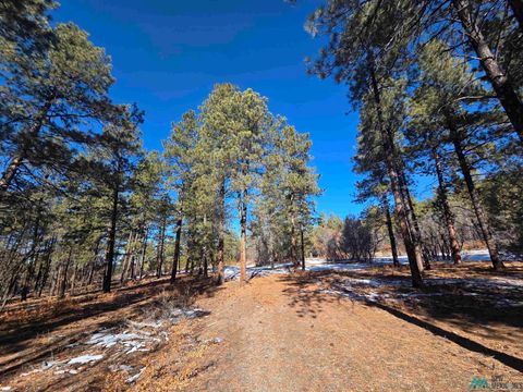 Vacant Land For Sale - 1 La Espuela Drive<br/> Rio Arriba County, Chama, NM 87520