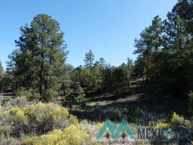 31 Maverick Road, Fence Lake, New Mexico image 43