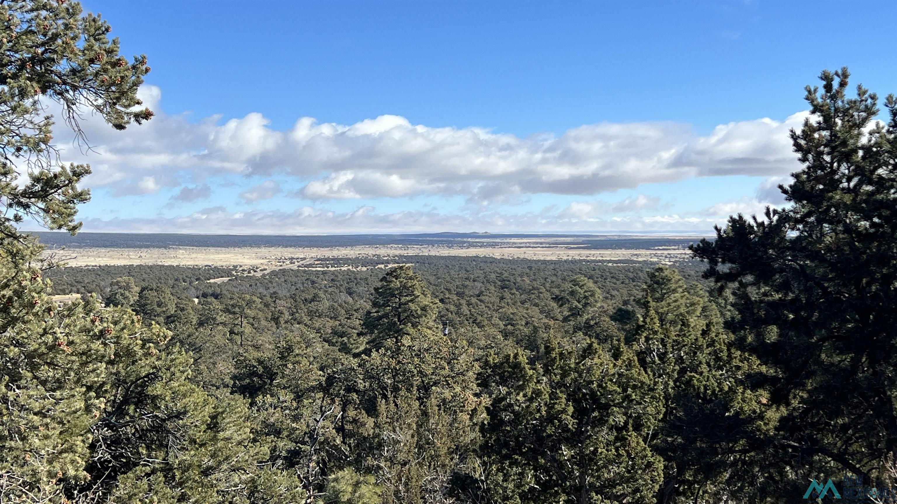 31 Maverick Road, Fence Lake, New Mexico image 47