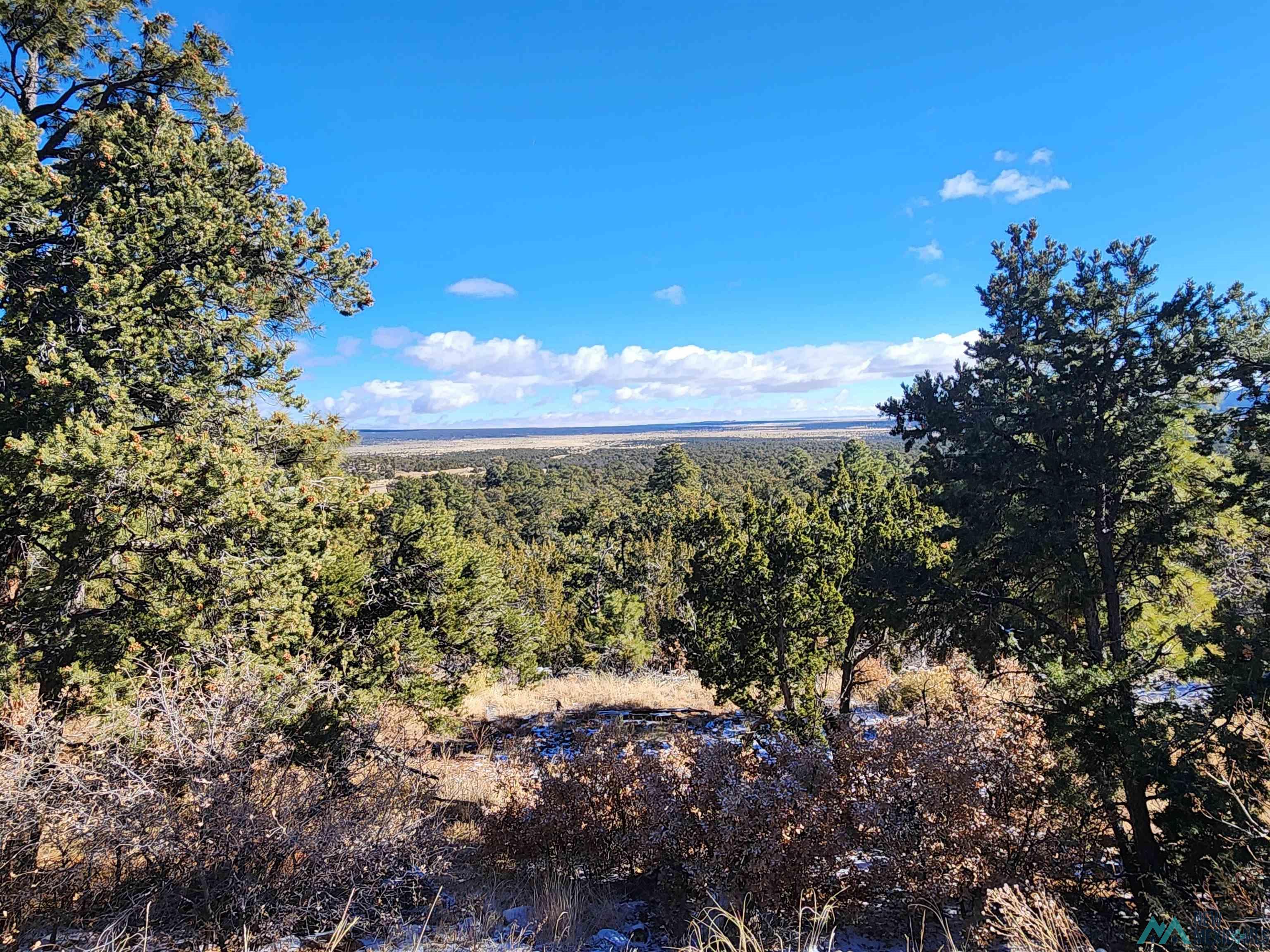 31 Maverick Road, Fence Lake, New Mexico image 42