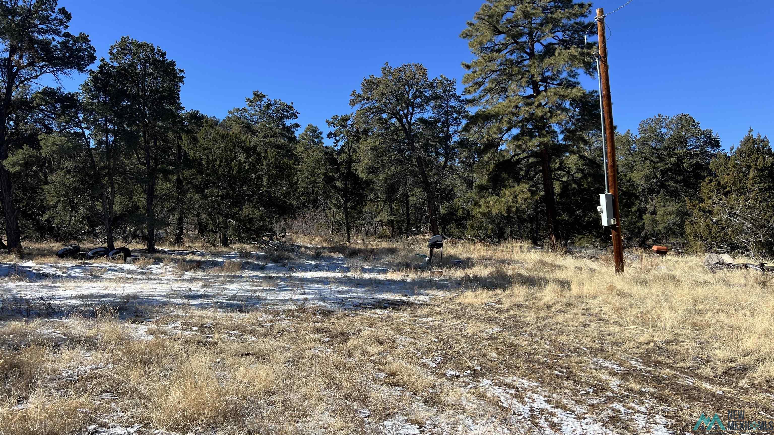 31 Maverick Road, Fence Lake, New Mexico image 48