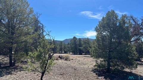 Vacant Land For Sale - 12 Elk View Road<br/> Catron County, Quemado, NM 87829