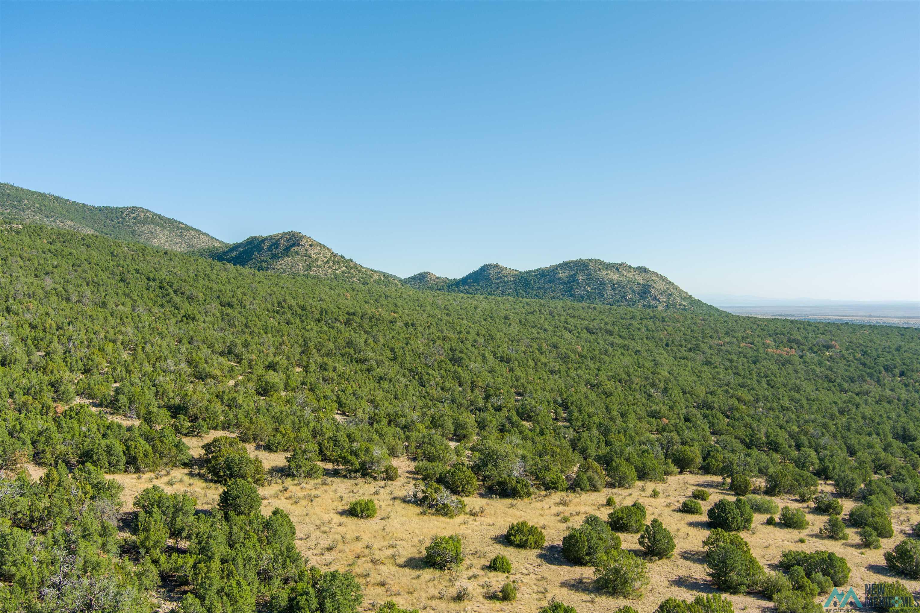 15 Camino San Pedros Road, Edgewood, New Mexico image 14