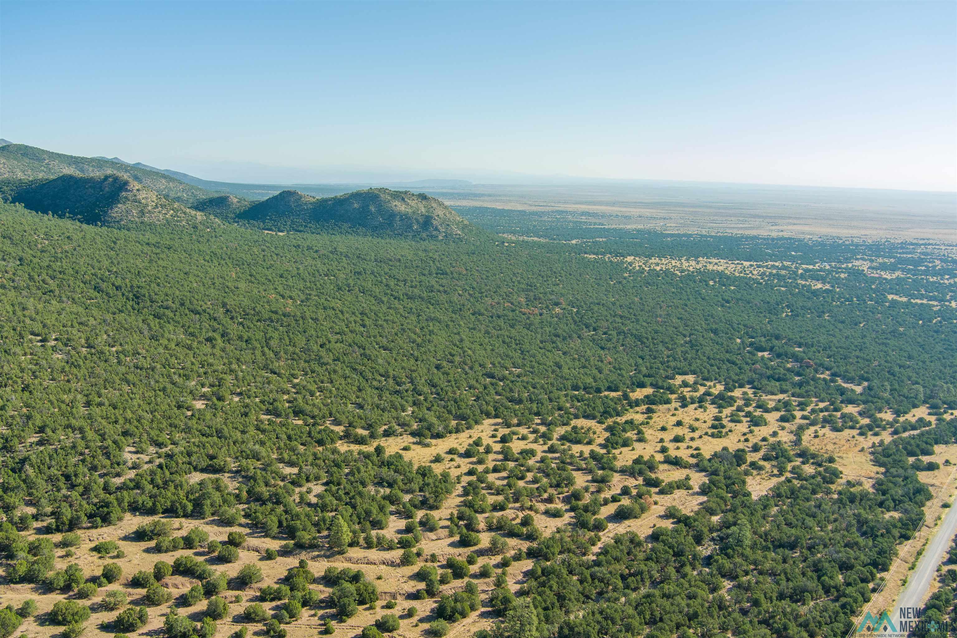 15 Camino San Pedros Road, Edgewood, New Mexico image 5