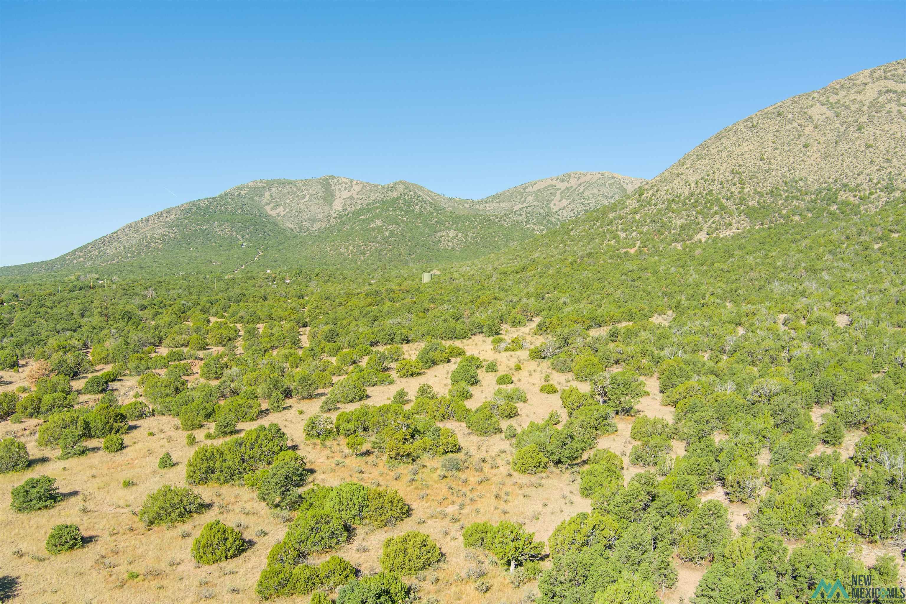 15 Camino San Pedros Road, Edgewood, New Mexico image 13