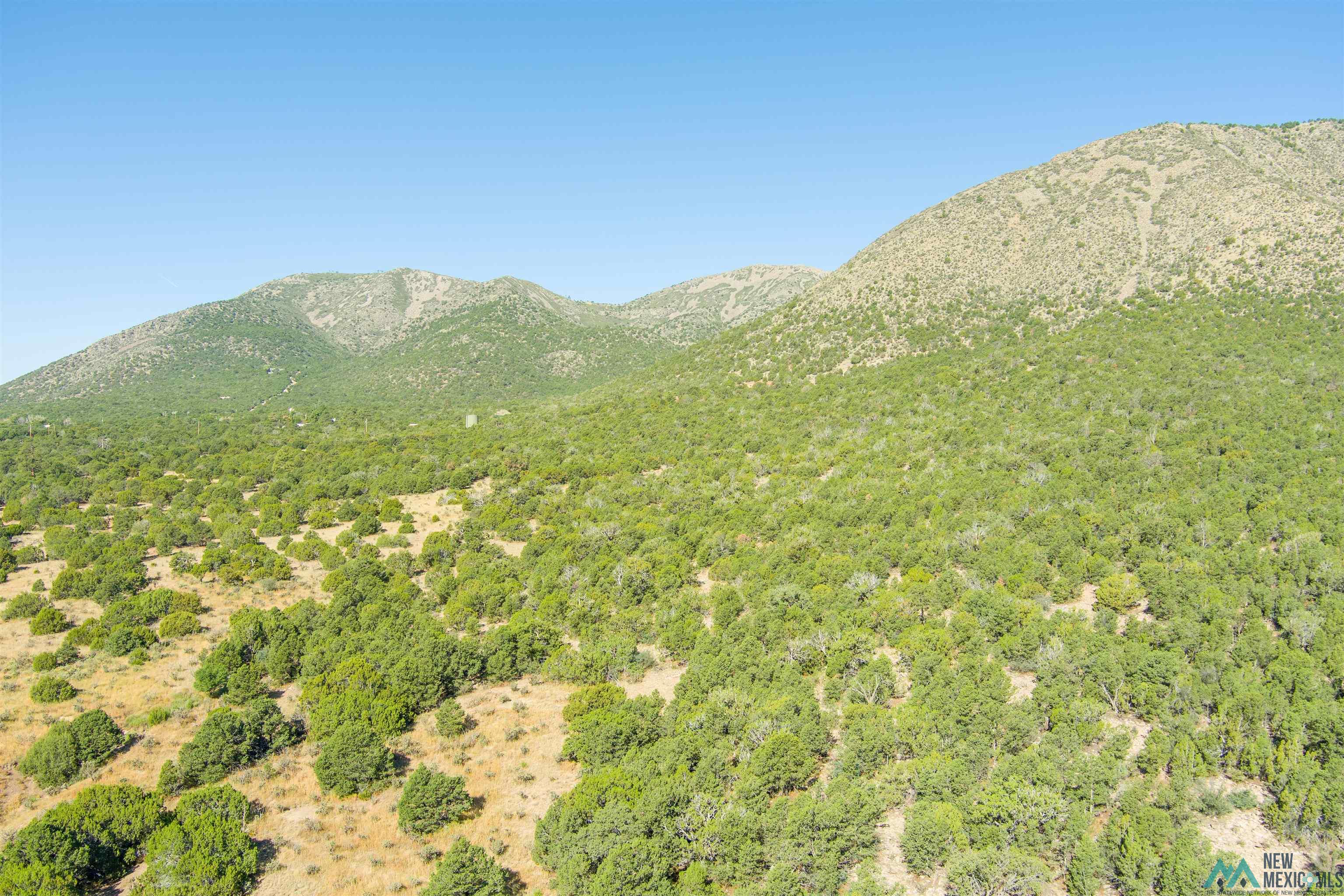 15 Camino San Pedros Road, Edgewood, New Mexico image 12