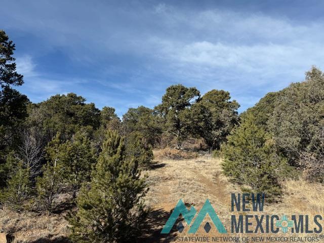17 E Allens Road, Raton, New Mexico image 12