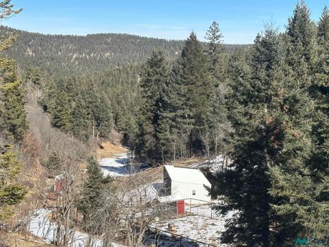 Vacant Land For Sale - 146 Clear Nite Road<br/> Cloudcroft, NM 88317
