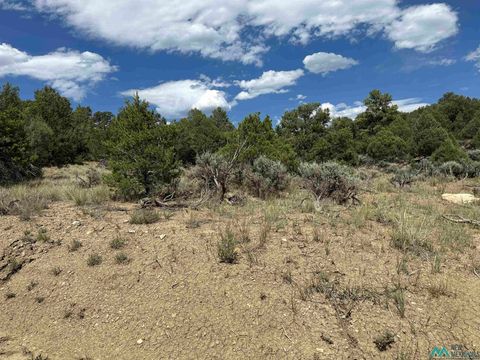 Vacant Land For Sale - TBD Martingale Lane<br/> Rio Arriba County, Tierra Amarilla, NM 87575