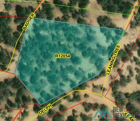 Vacant Land For Sale - LOT 221 Delph Court<br/> Pinehill, NM 87357