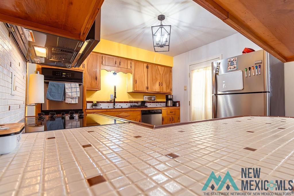 1313 W Thomas Street, Carlsbad, New Mexico image 8