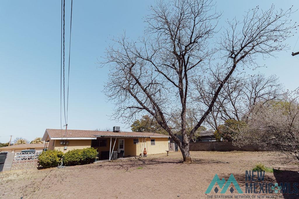 1313 W Thomas Street, Carlsbad, New Mexico image 19