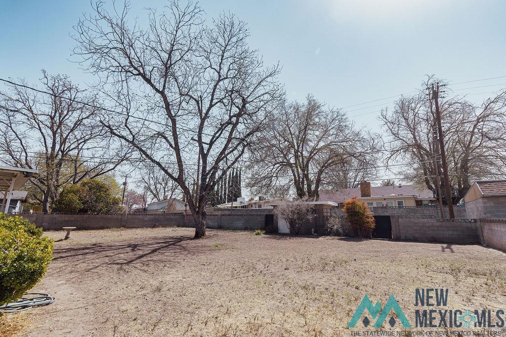1313 W Thomas Street, Carlsbad, New Mexico image 18