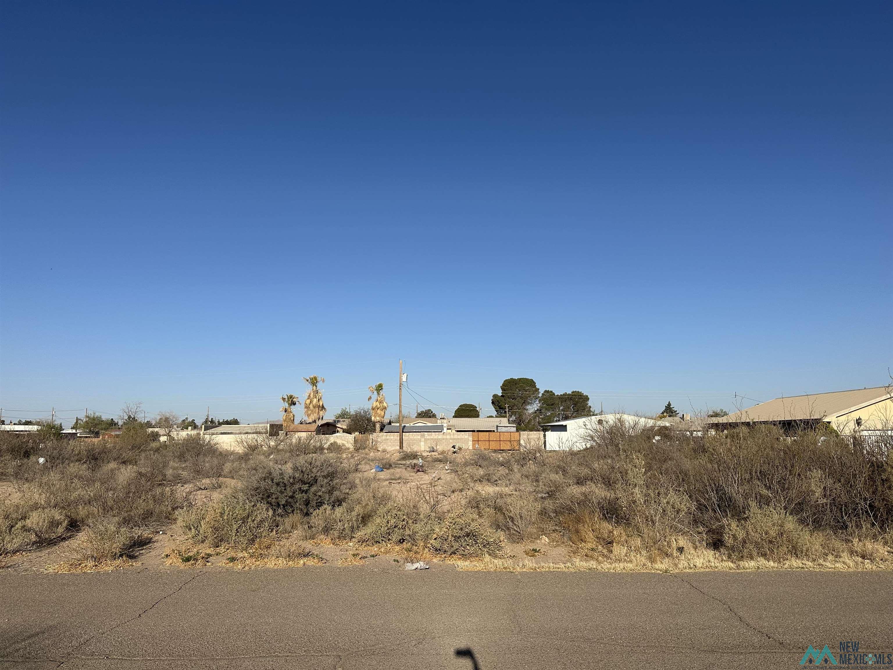 XXXX E Diamond Street / Apple Street, Deming, New Mexico image 5