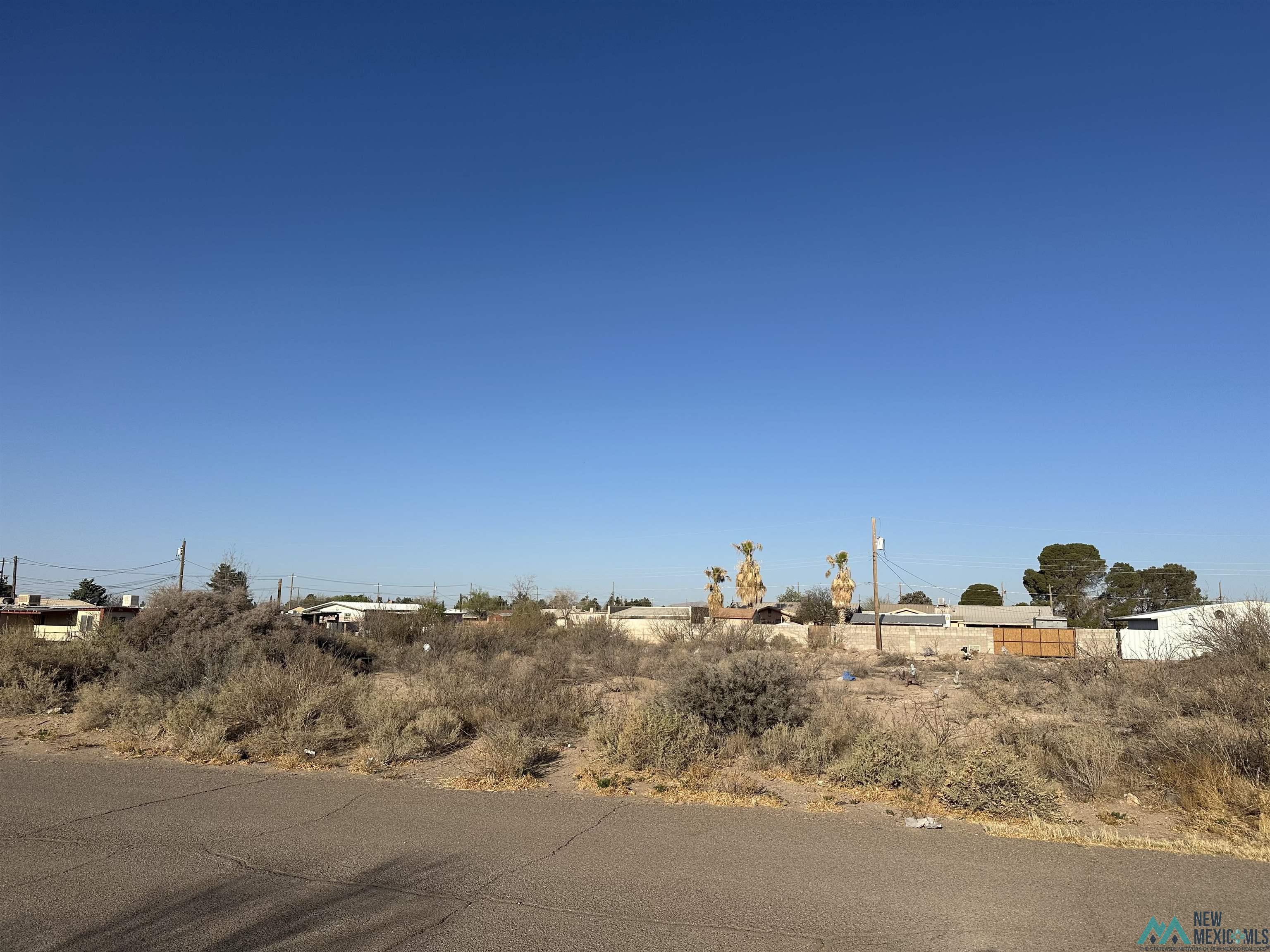 XXXX E Diamond Street / Apple Street, Deming, New Mexico image 4