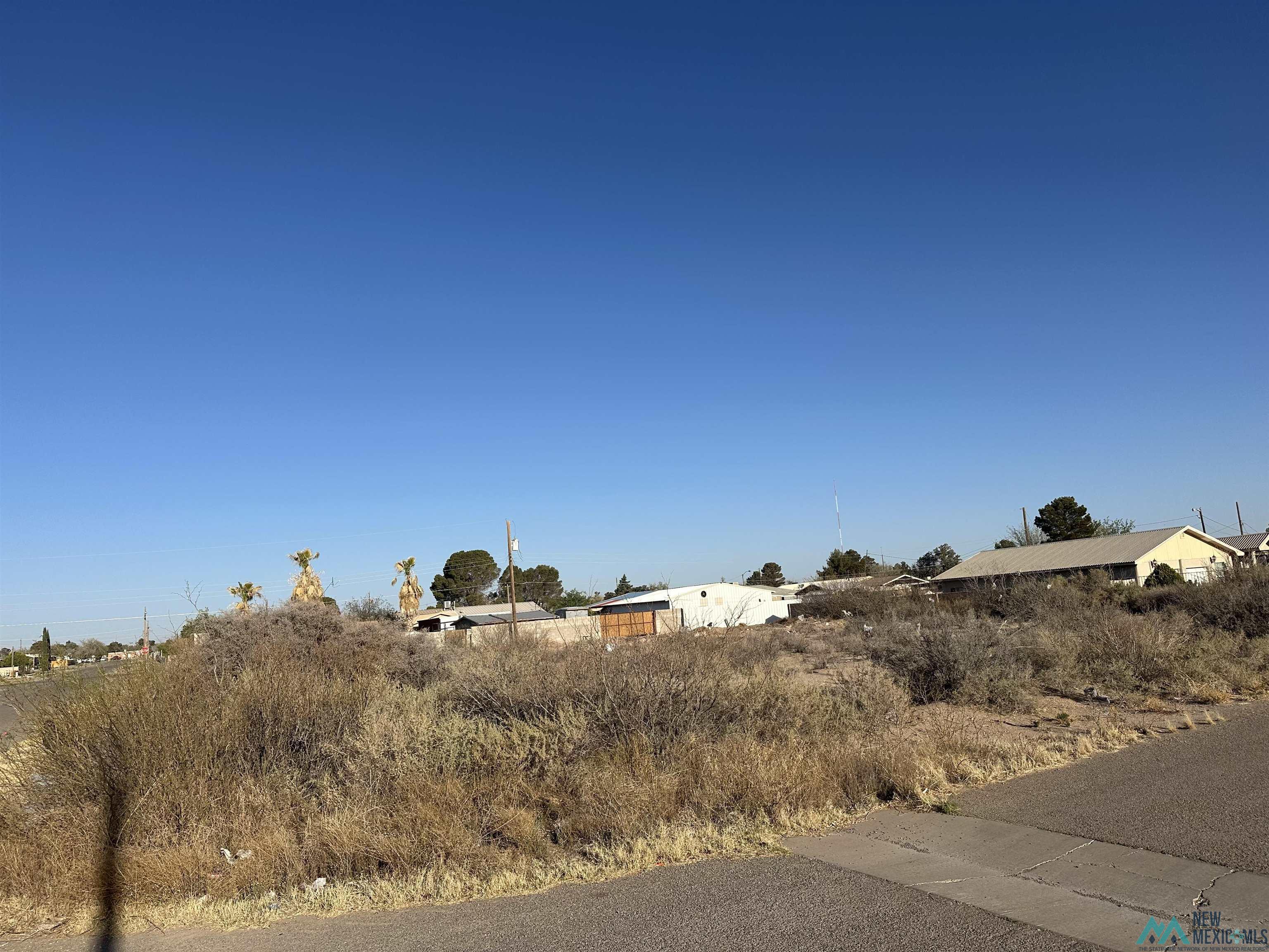 XXXX E Diamond Street / Apple Street, Deming, New Mexico image 9