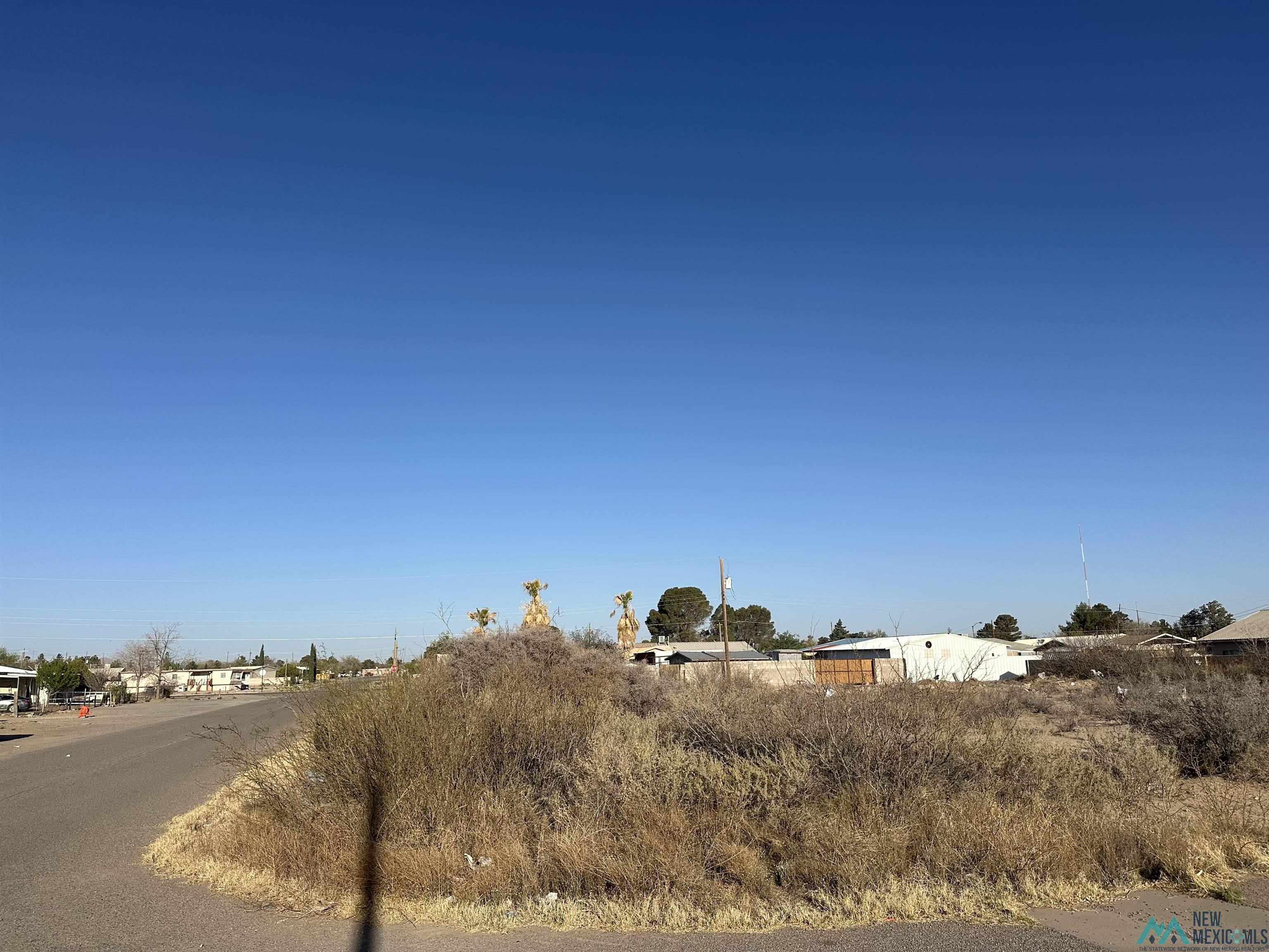 XXXX E Diamond Street / Apple Street, Deming, New Mexico image 8