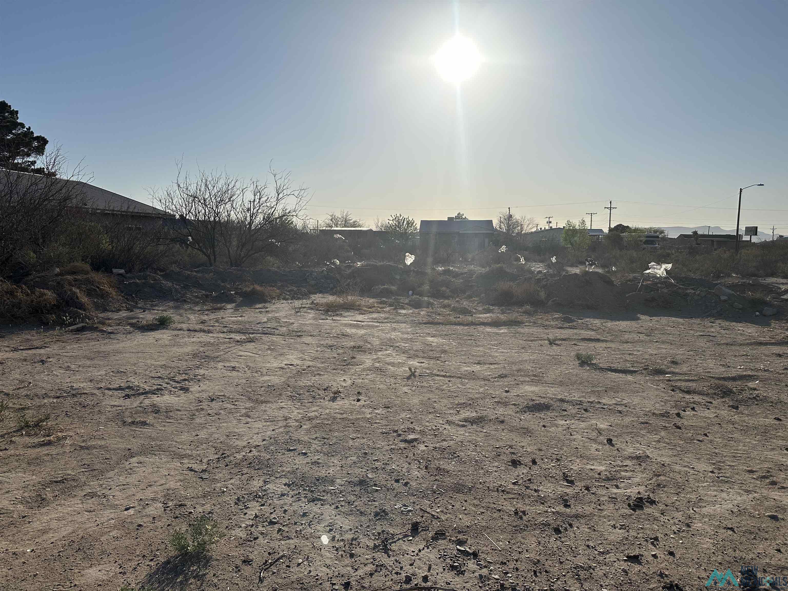 XXXX E Diamond Street / Apple Street, Deming, New Mexico image 6