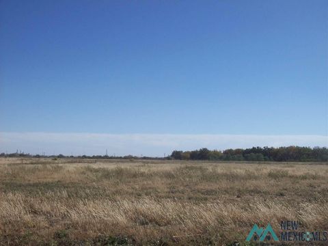 Vacant Land For Sale - 1010 Pistachio Trail<br/> Eddy County, Artesia, NM 88210