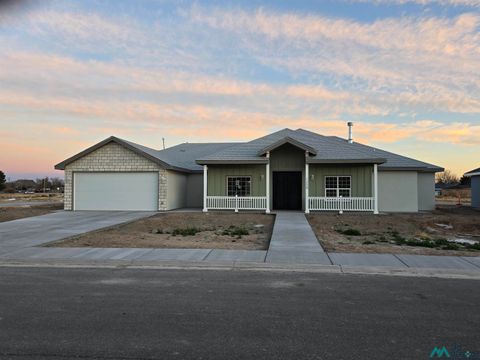 Homes For Sale - 1220 Bella Vita Drive<br/> Chaves County, Roswell, NM 88201
