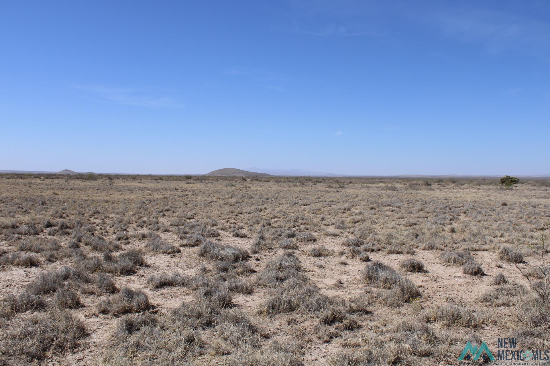 Madison Rd Sw, Deming, New Mexico image 11