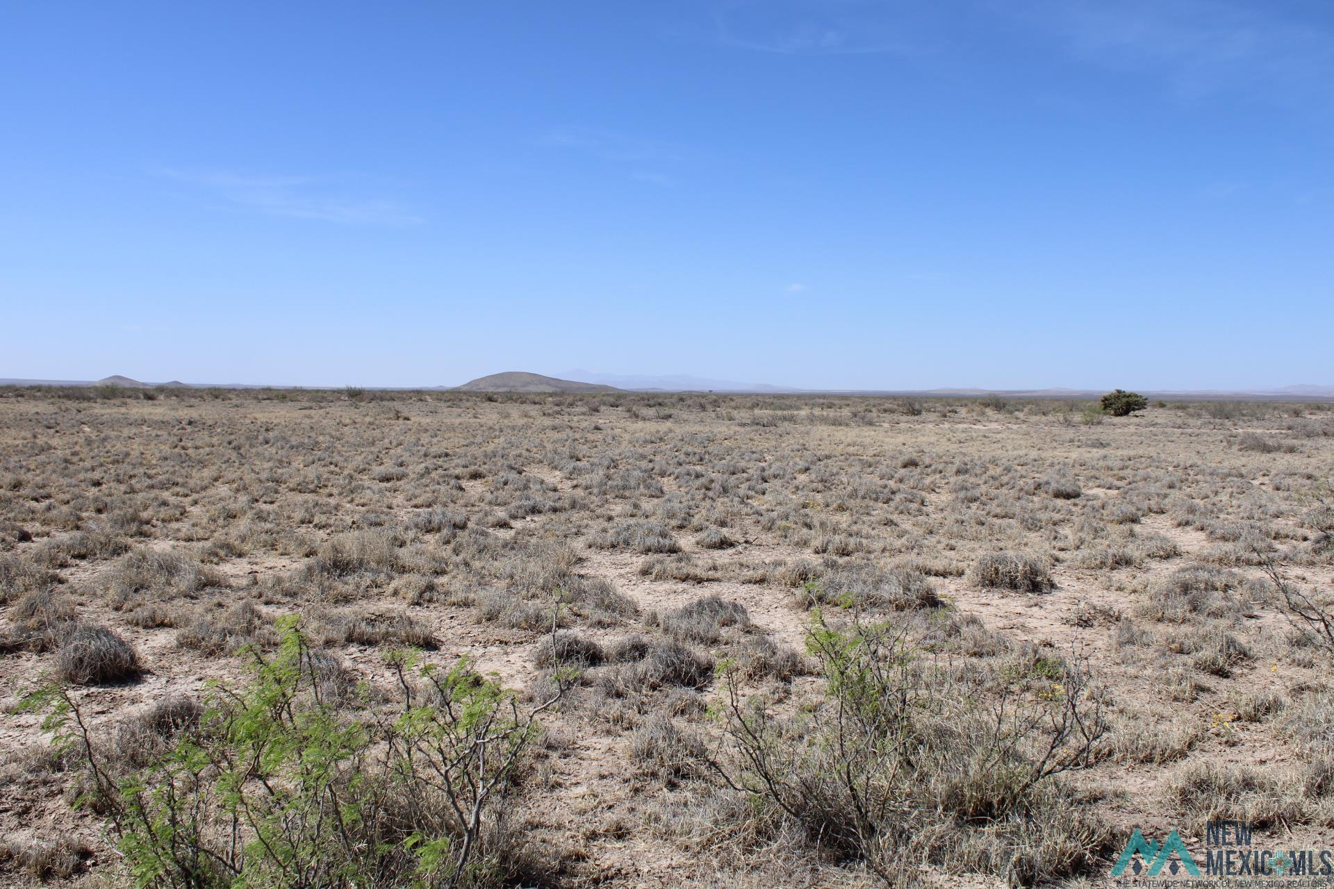 Madison Rd Sw, Deming, New Mexico image 1