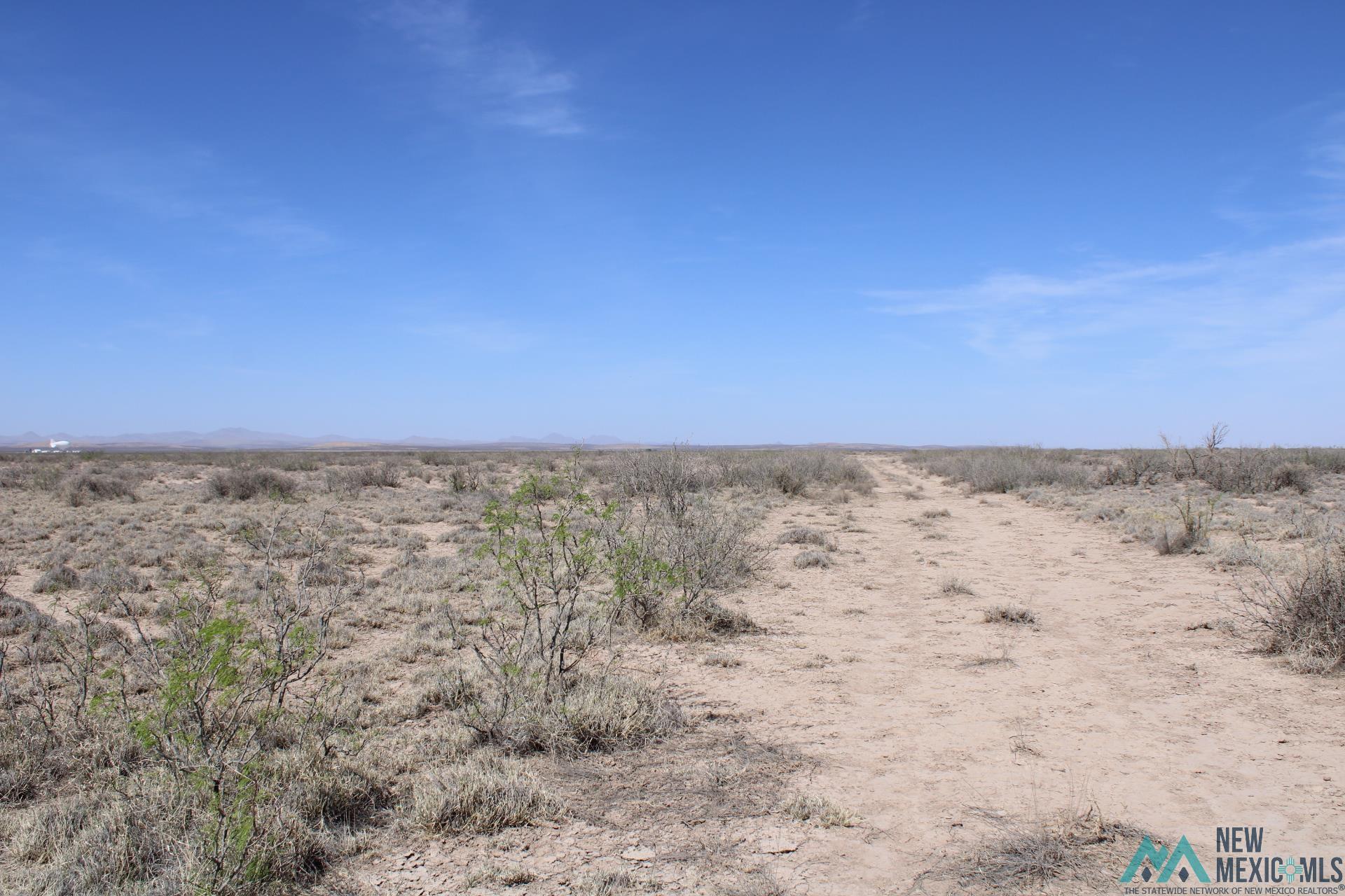 Madison Rd Sw, Deming, New Mexico image 3