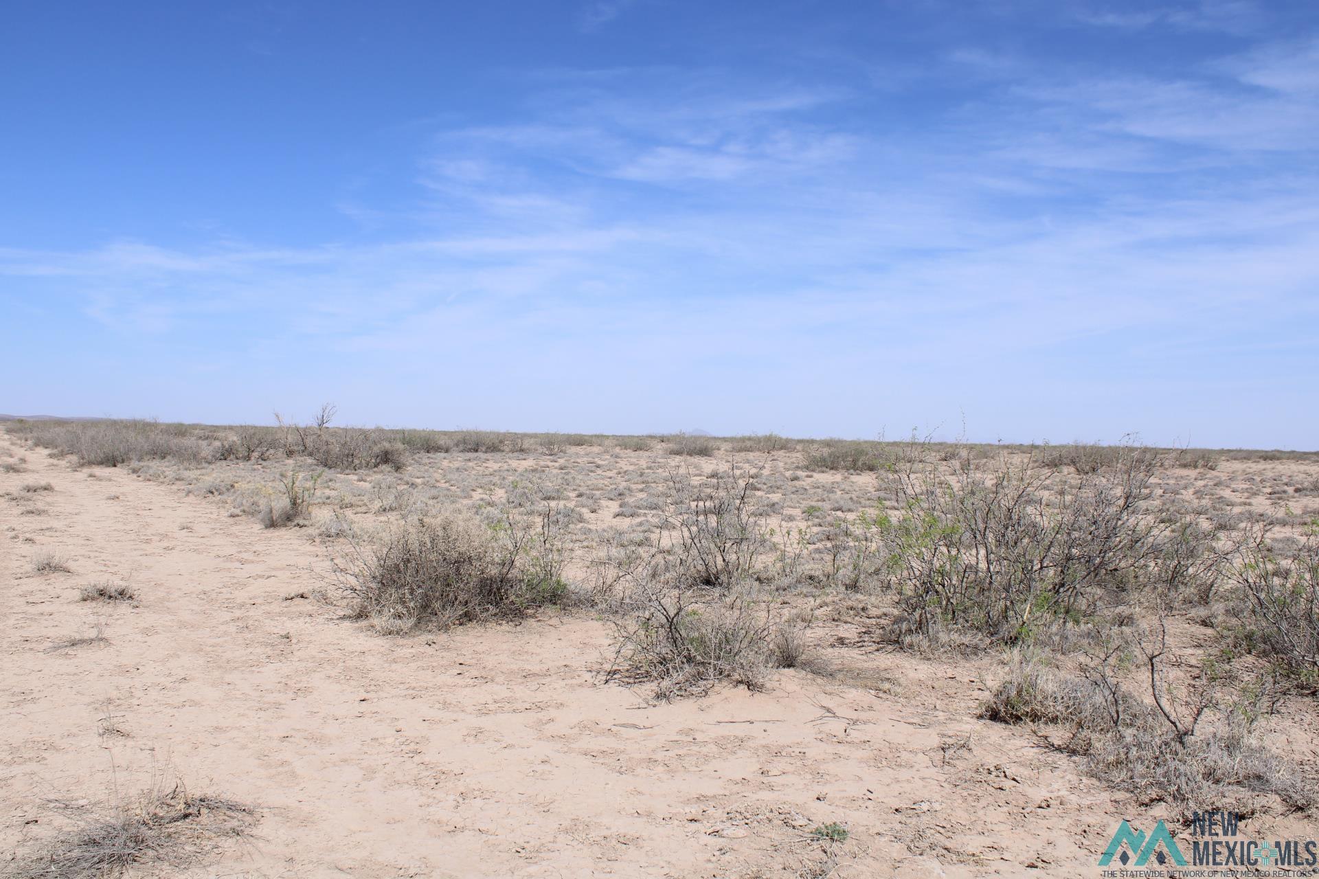 Madison Rd Sw, Deming, New Mexico image 4